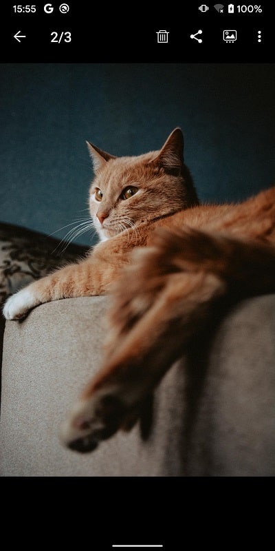 Gallery APK - screenshot 4