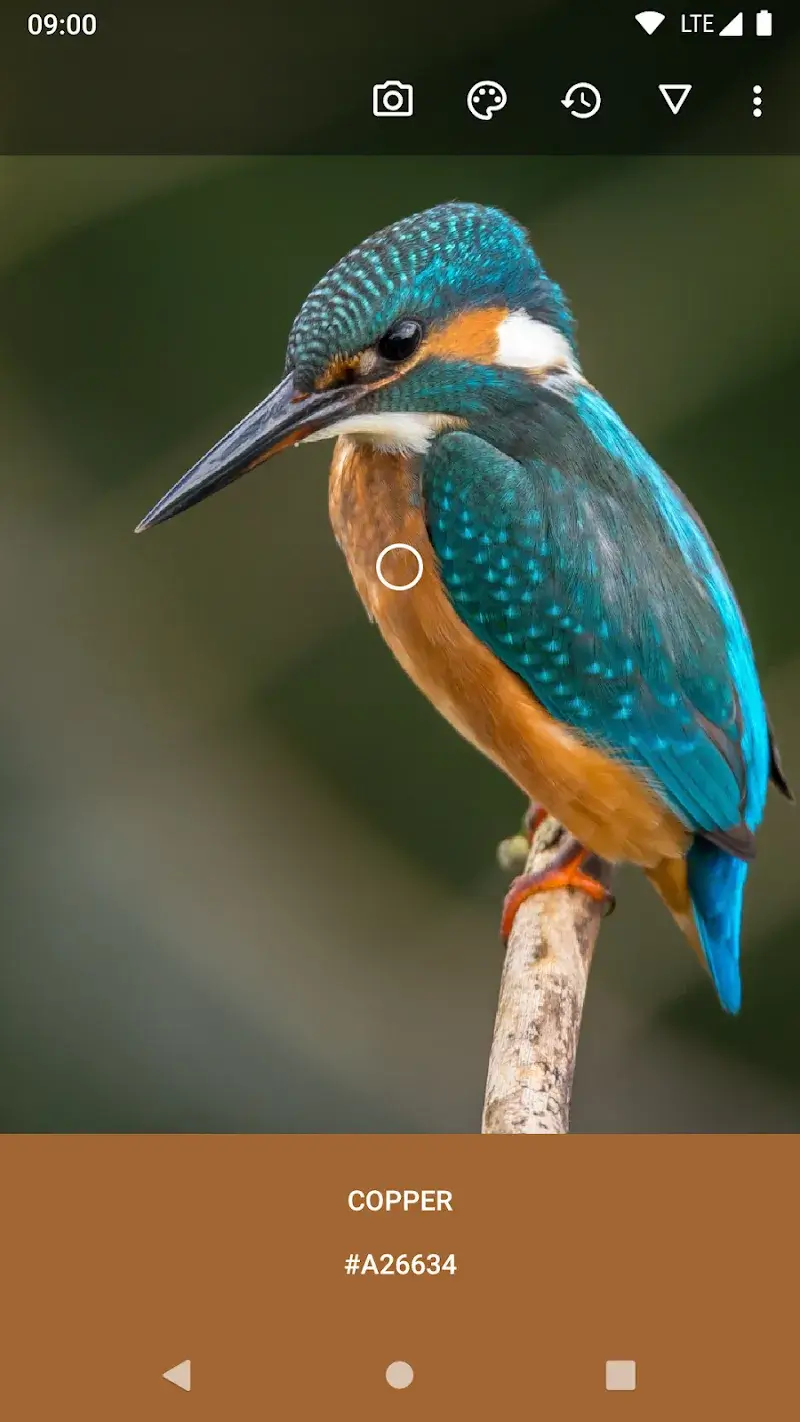 Color Picker - screenshot 1