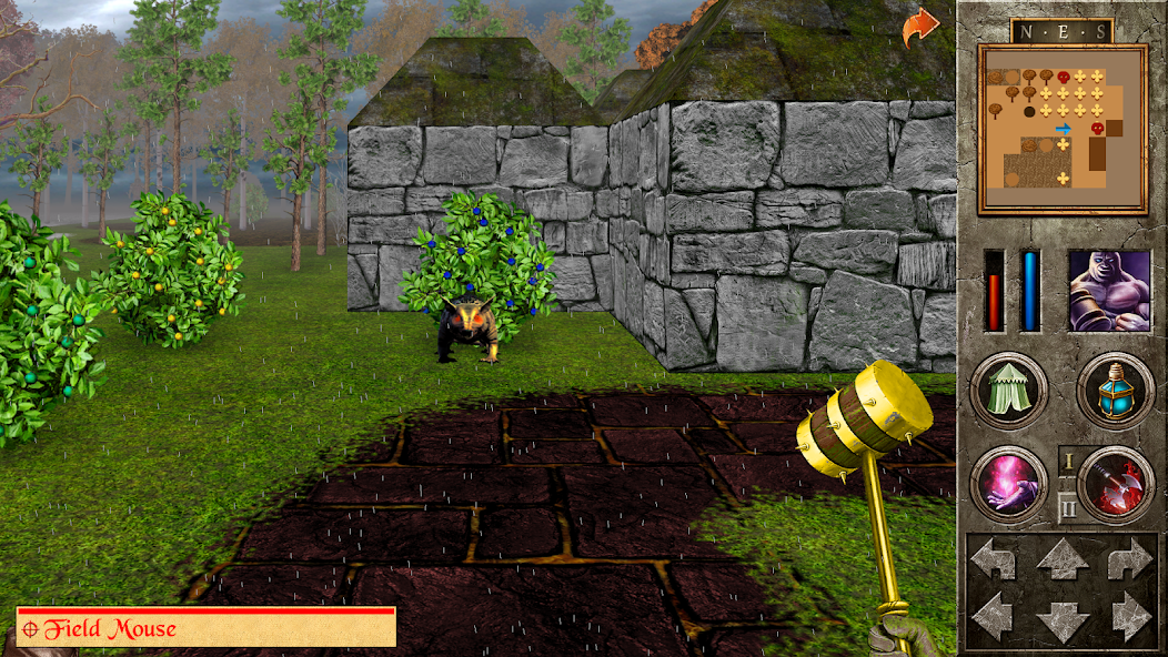 The Quest - Ragnar's Revenge - screenshot 10