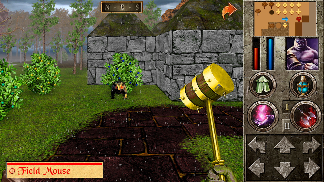 The Quest - Ragnar's Revenge - screenshot 5