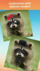 My Talking Pet - screenshot 3