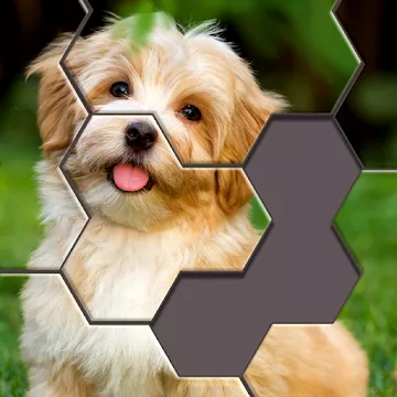 Hexa Jigsaw Puzzle ™ MOD APK icon