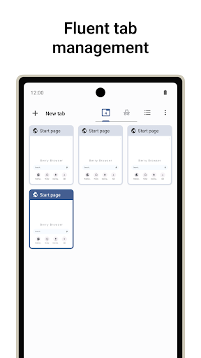 Berry Browser - screenshot 2