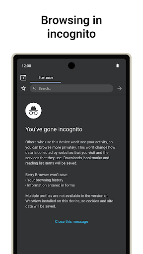 Berry Browser - screenshot 6