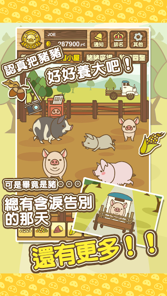 Pig farm MIX - screenshot 2