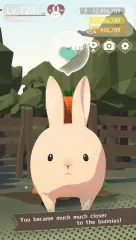 Bunny More Cuteness Overload - screenshot 2