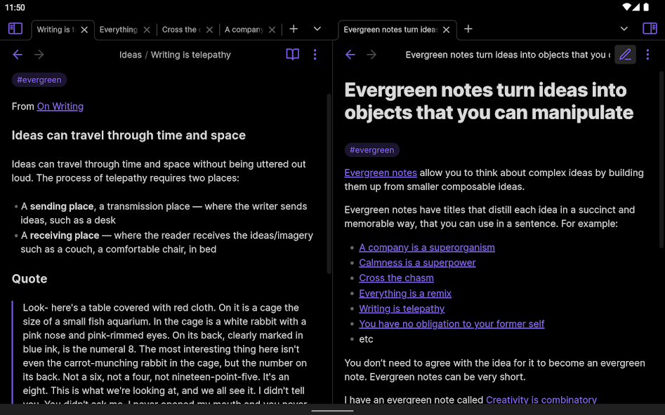 Obsidian - screenshot 11