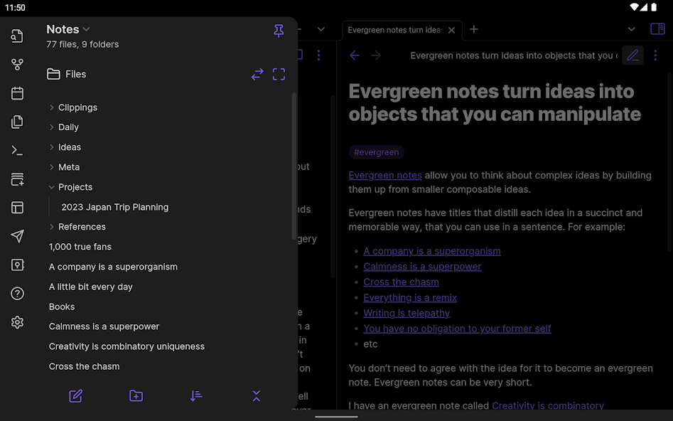 Obsidian - screenshot 12