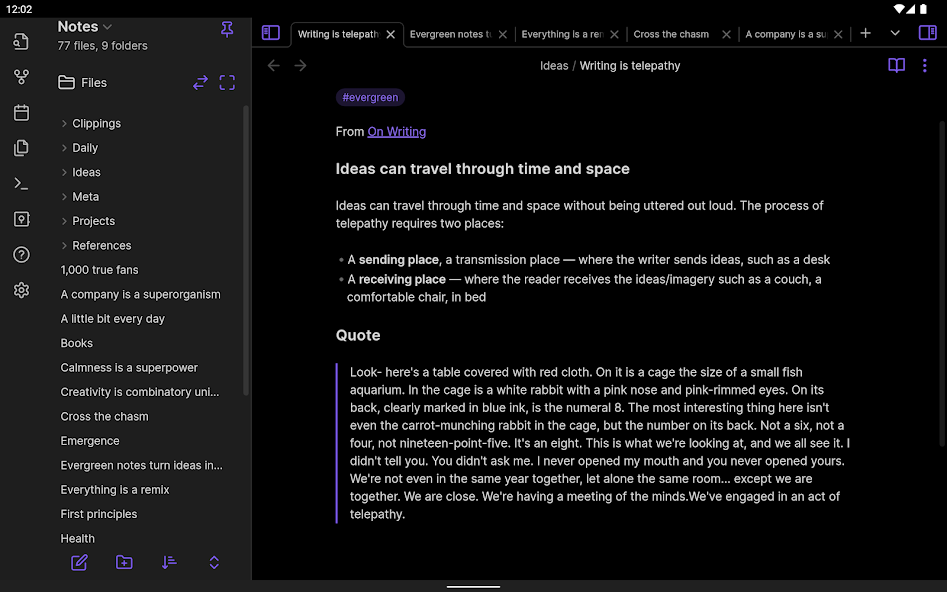 Obsidian - screenshot 17
