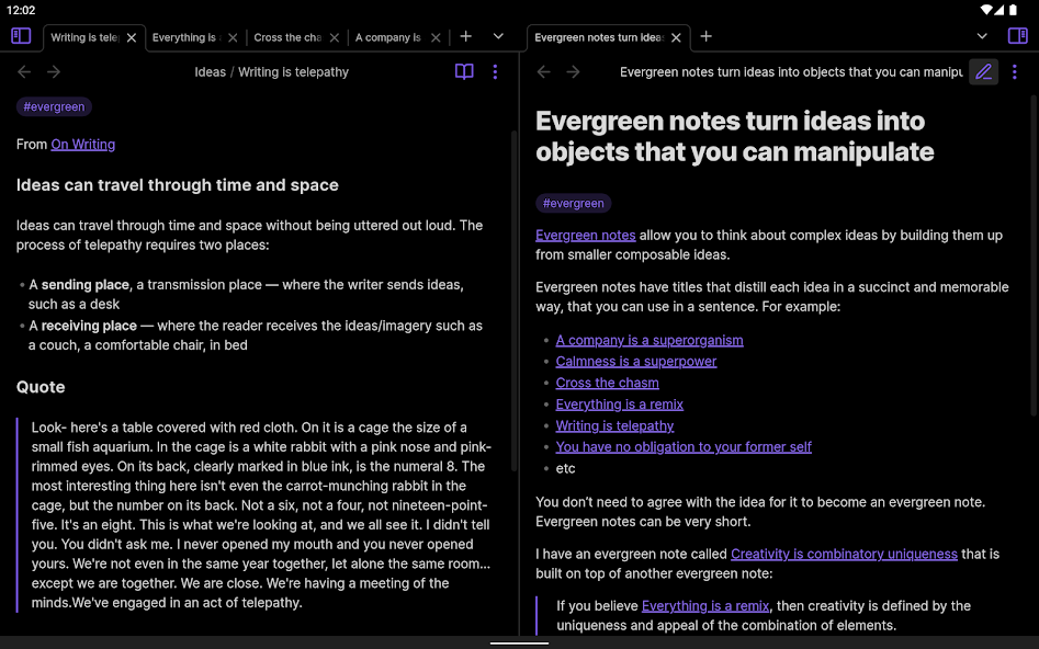 Obsidian - screenshot 18