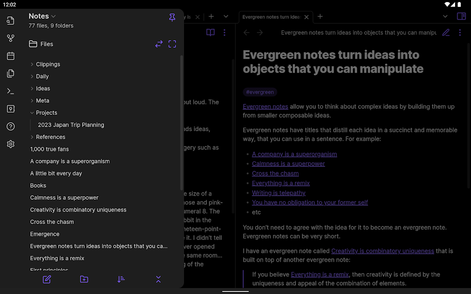 Obsidian - screenshot 19