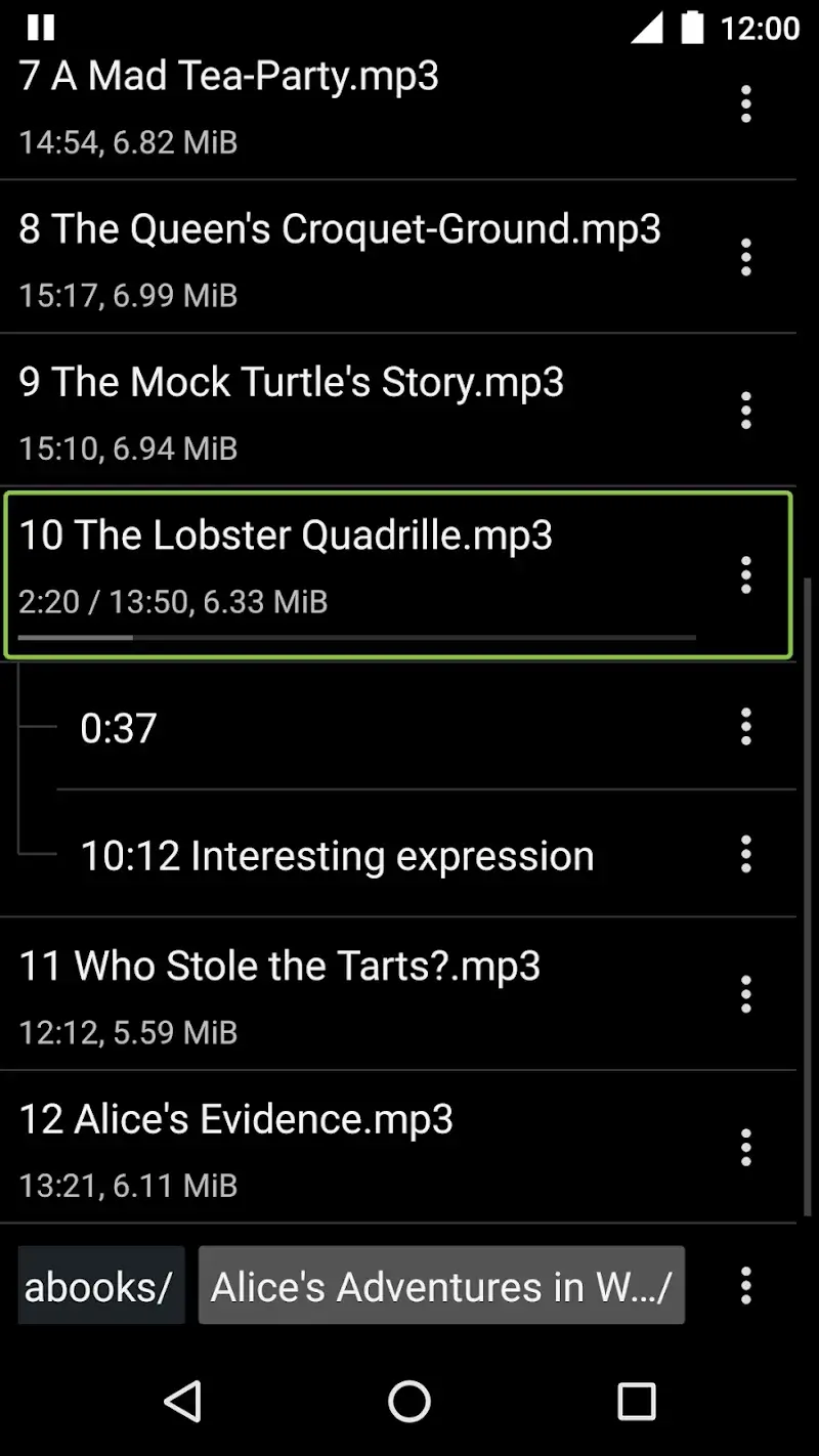 Simple Audiobook Player + - screenshot 3