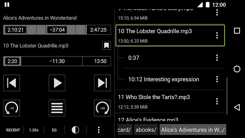 Simple Audiobook Player + - screenshot 4