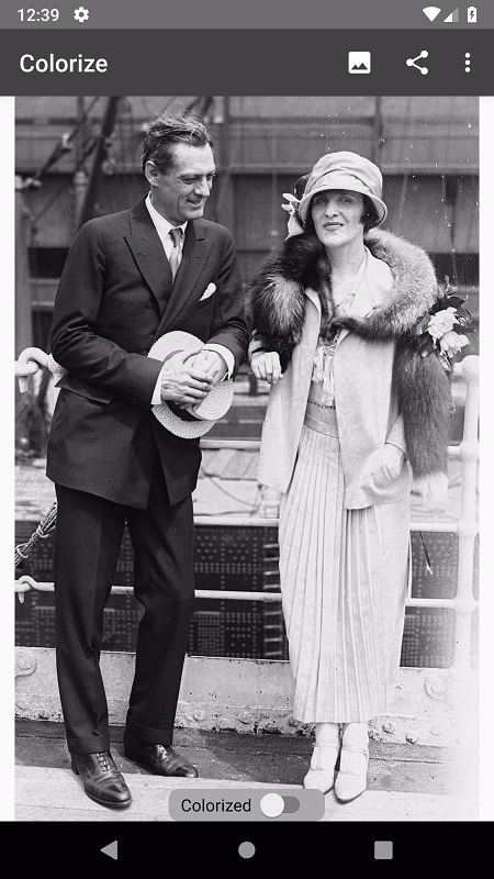 Colorize Images APK - screenshot 1