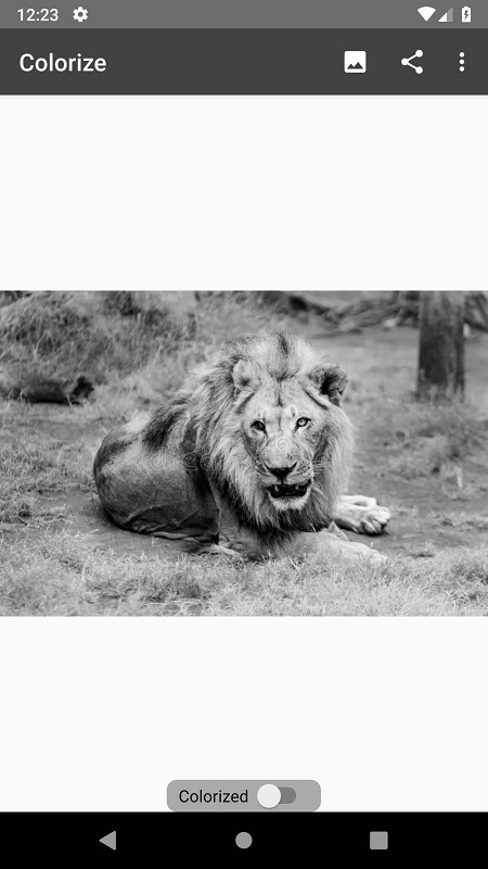 Colorize Images APK - screenshot 3