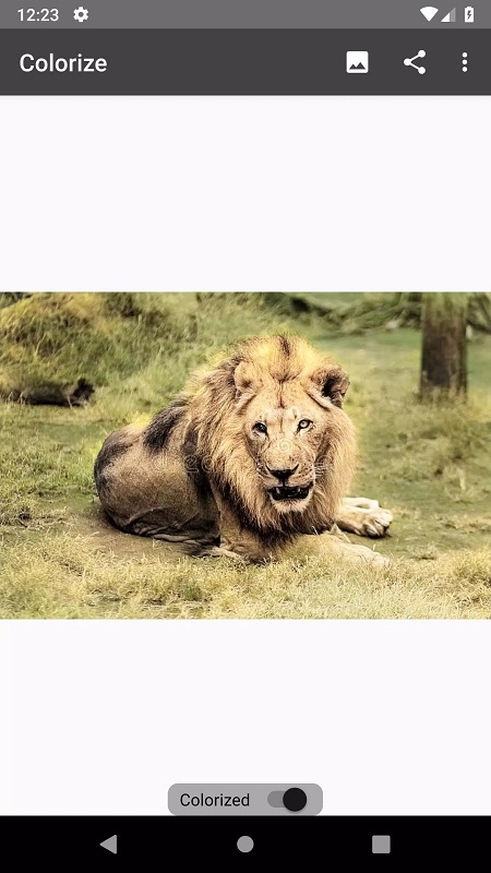 Colorize Images APK - screenshot 4