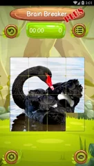 Brain Breaker Plus - screenshot 4