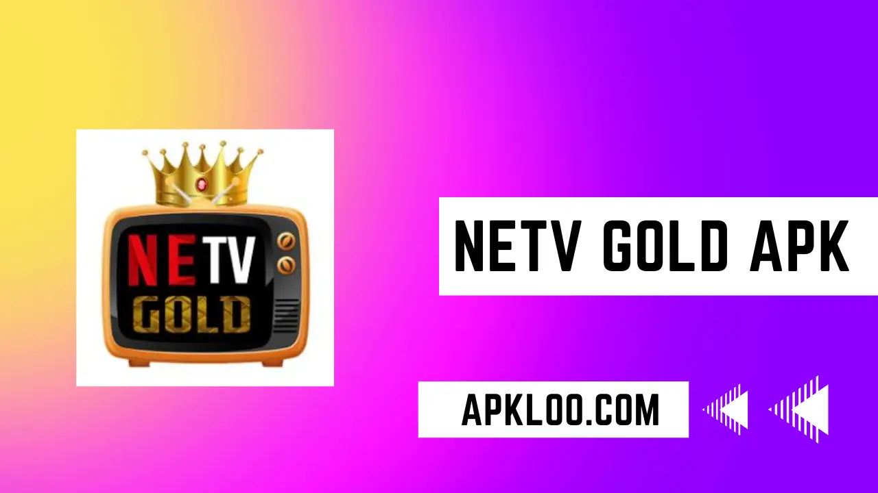 NETV Gold - screenshot 1
