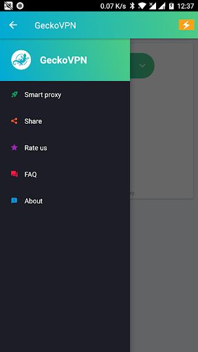 GeckoVPN Unlimited Proxy VPN - screenshot 5