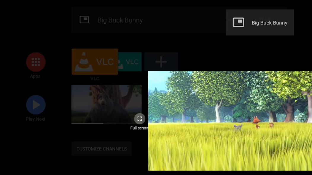 VLC - screenshot 1