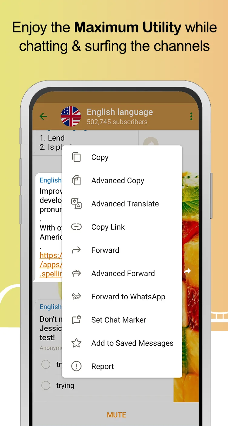 Vidogram - screenshot 4