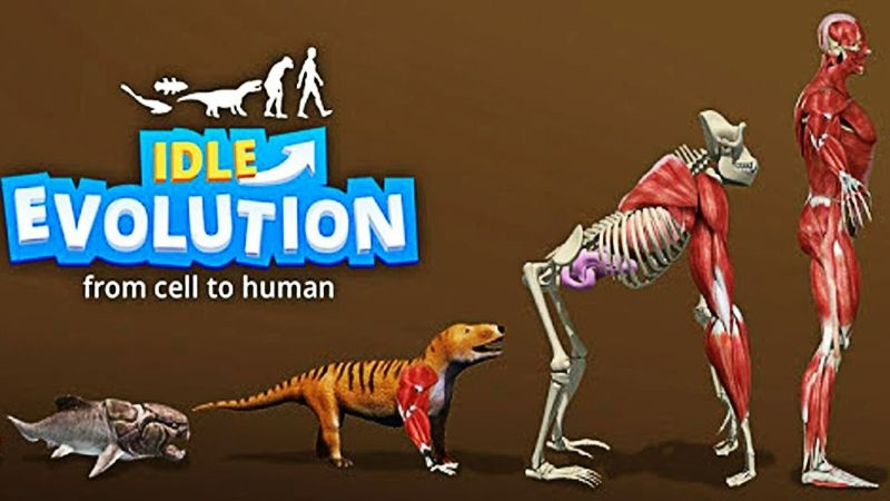 Idle Evolution APK MOD APK icon