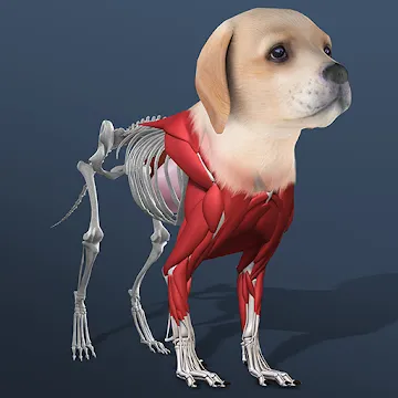 Idle Pet - Create cell by cell MOD APK icon