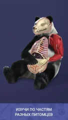 Idle Pet - Create cell by cell - screenshot 1