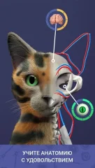 Idle Pet - Create cell by cell - screenshot 4