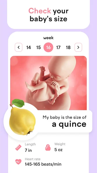 amma Pregnancy & Baby Tracker - screenshot 4