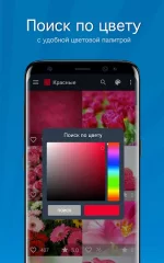 Wallpapers HD & 4K Backgrounds - screenshot 4