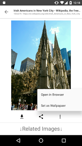 ImageSearchMan - screenshot 4