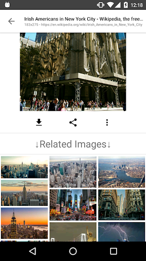 ImageSearchMan - screenshot 5