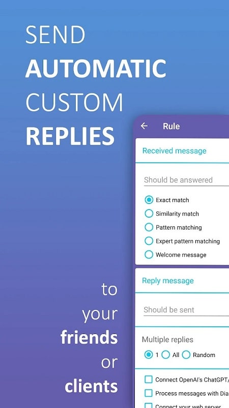 AutoResponder for VB - screenshot 2