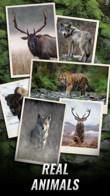 Trophy Hunter APK - screenshot 1