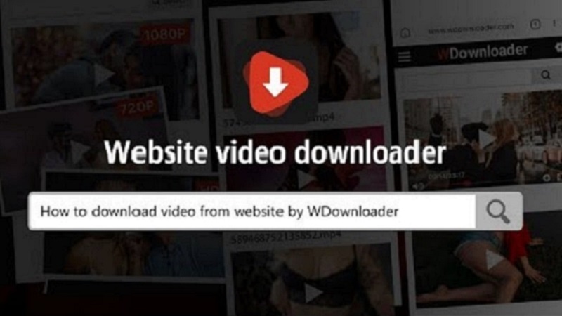 WDownloader APK - app icon