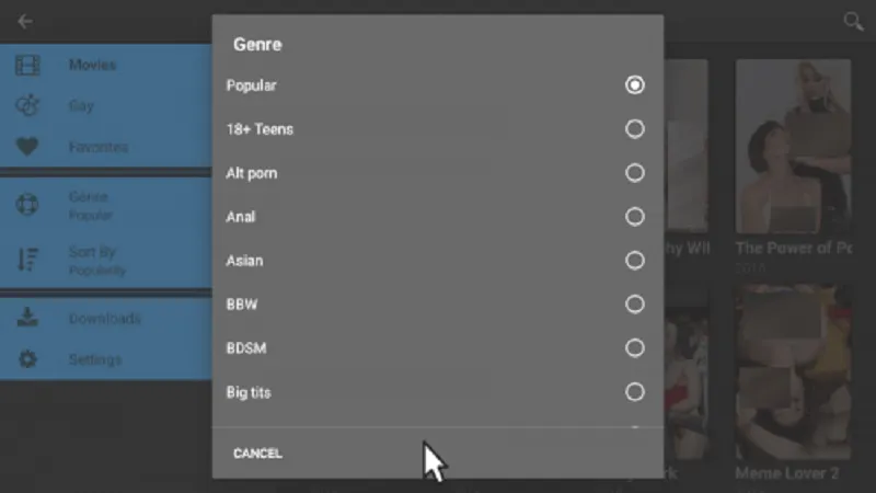 Porn Time 0.2.2 APK + MOD [ExtraAD-Free] - screenshot 2