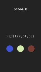 RGB Infinite Guessing Design Game: Guess the color - screenshot 4